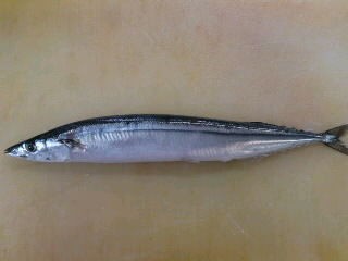 秋刀魚 さんま のおろし方 背開き 蒲焼き 簡単 魚の美味しいさばき方