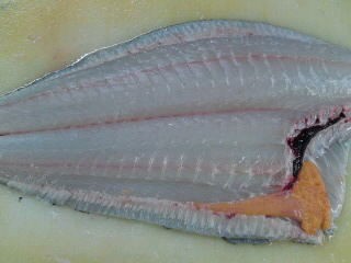 ヒラメ 皮の引き方 簡単 魚の美味しいさばき方
