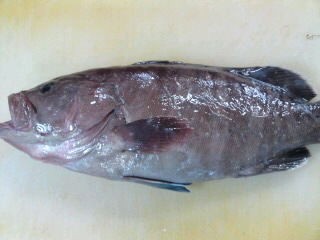 クエのおろし方 三枚おろし 刺身 簡単 魚の美味しいさばき方 クエのおろし方 三枚おろし 刺身 簡単 魚の美味しいさばき方