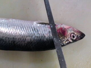 鰊 ニシン の切り方 煮付け 簡単 魚の美味しいさばき方