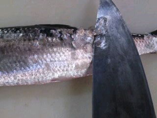 鰊 ニシン の切り方 煮付け 簡単 魚の美味しいさばき方