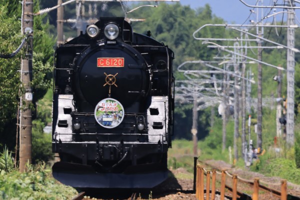 真夏のレッド C61 20 : ohanefu blog ～snap photo～