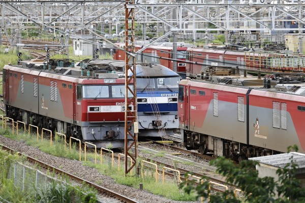 新鶴見機関区 点描 2026 : ohanefu blog ～snap photo～