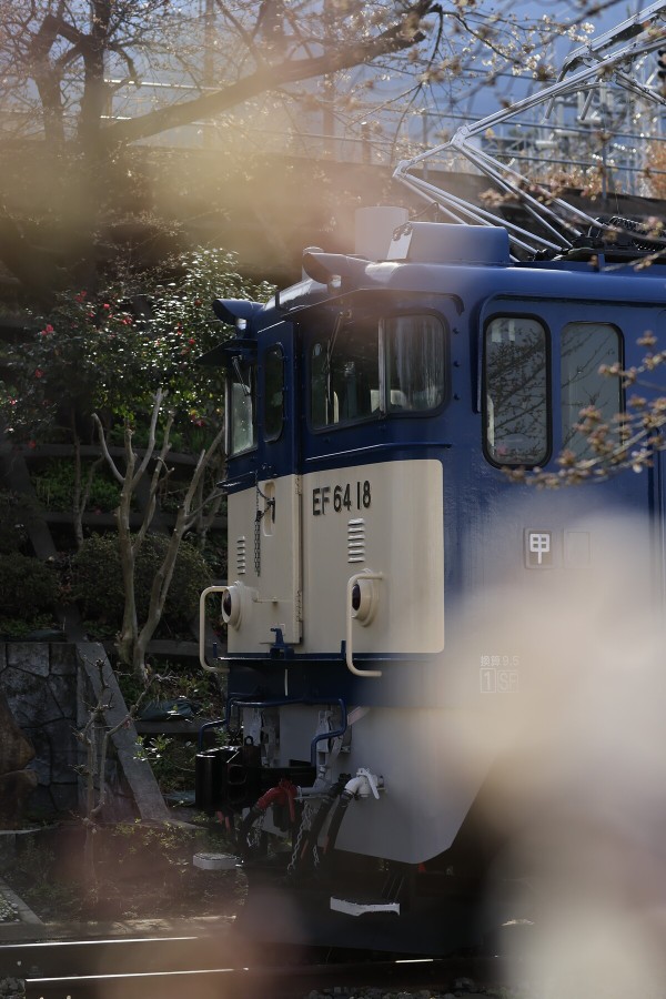 勝沼ぶどう郷駅前甚六公園のEF64 18 ～保存機めぐりは【晴れ漢】に任せ