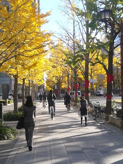 紅葉の写真 御堂筋のイチョウ並木は紅葉なのか 色ずくが正しいのか でもアートやで プランナーの独り言