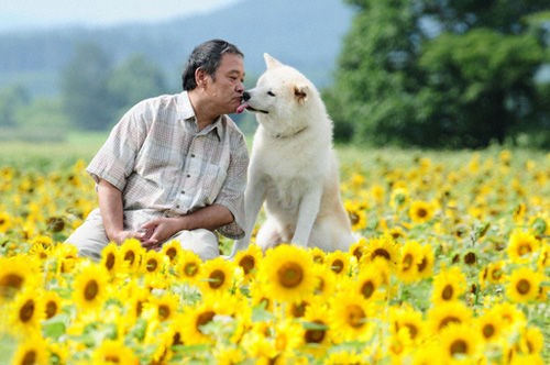 切なくて泣けた 故郷に愛慕の気持ちをこめて 星守る犬 For James Bond 007 Lovers Only