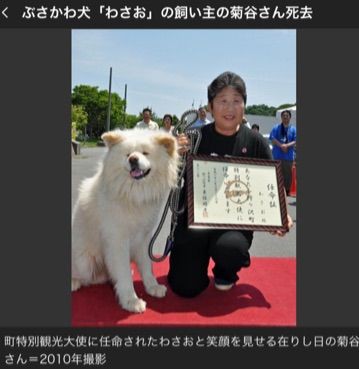 わさお のお母さん 慶應通信 マフィン日記