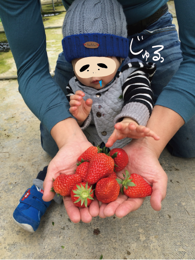 赤ちゃんといちご狩り だいごろうの1日 Powered By ライブドアブログ