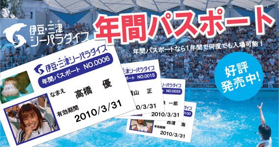 関東の水族館年間パスポート料金 特典まとめ 陸 おか Fish Watching 関東の水族館年間パスポート料金 特典まとめ 陸 おか Fish Watching