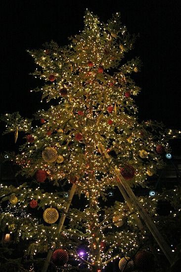神戸ハーバーランドのクリスマス09 撮りたいモノを 撮りたいように撮る 神戸ハーバーランドのクリスマス09 撮りたいモノを 撮りたいように撮る