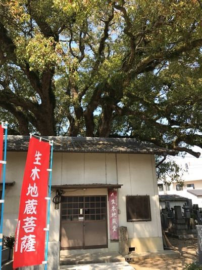 春休み最終火曜日は観音寺市をウロウロ ぶうにゃんと萩の丘公園 岡製麺所 うどん屋日記