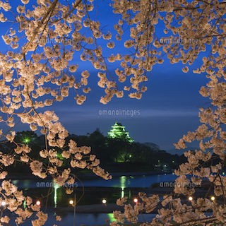 イオン 岡山 周辺 さあ行こう 岡山さくらカーニバル 桜 花見 つれづれなるままの岡山駅 イオンモール岡山 Gpsの周辺から イオン 中心 グローカル 366 Gps Aps