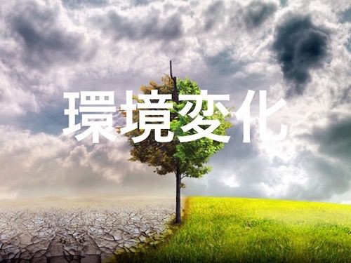 岡山県内の書店 首都圏より２日遅れ 来月から新刊発売が１日遅れ 運送の人手不足が響く 世界 地域 岡山 に目を向けグローバル 366 岡山県を中心にグローカル Gps Aps