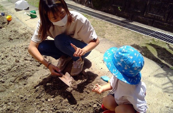 ２歳児 いもの苗植え その２ 岡崎聾学校 公式ブログ