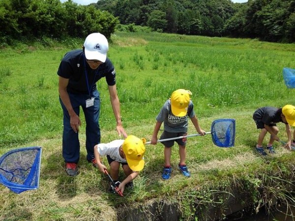 小学部 1年生のザリガニ釣り 岡崎聾学校 公式ブログ