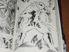 俺はたとえ一人でも 兄貴を必ず止める 漫画 金剛番長 11巻 を読む 何かよくわからん気まぐれblog