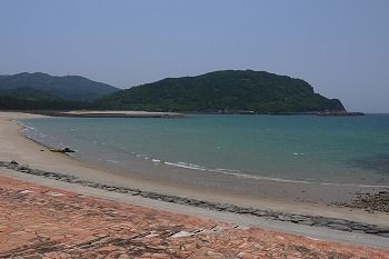 ぬきん出て天下にほこる白鶴浜 せからしか我が家