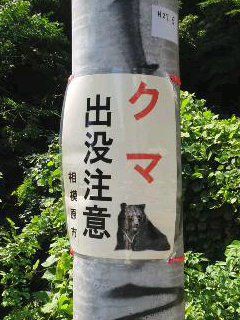 熊出没注意 神奈川県相模原市 １ Okehazama0612のブログ