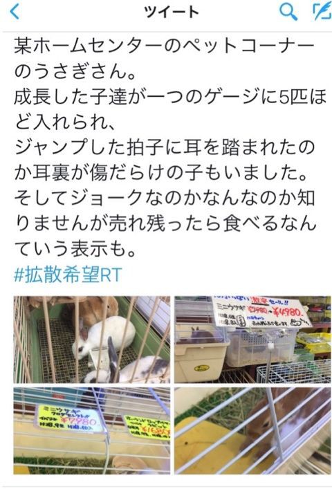 冗談じゃすまない 人生波乱万丈 幸せってﾅﾆ 別館