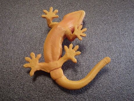 ヤモリ大全Ⅱ クレステッドゲッコー : ヤモリといっしょ