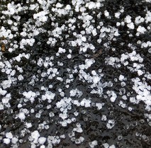 今朝の雪は霰 定年生活