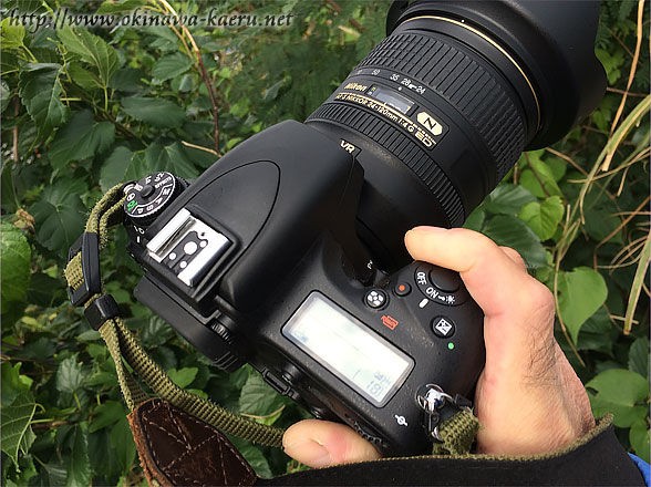 Nikon D750 一眼レフカメラ 撮影枚数18331枚 Nikon D750 一眼レフカメラ 撮影枚数18331枚