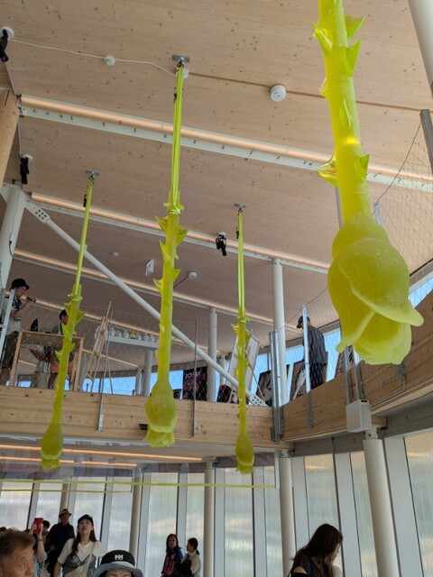 夏の大阪・関西万博へ行ってきた！【5回目】（8/6）④チェコ館