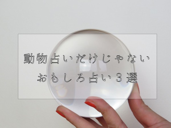 動物占いだけじゃない おもしろ占い３選 私の小さい暮らし Powered By ライブドアブログ