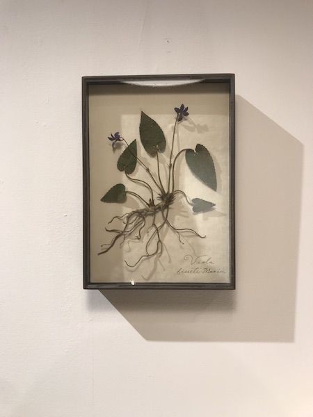 モリソン小林 作品 世界に一つしかないアート〜モリソン小林さんの個展へ〜 : 古く