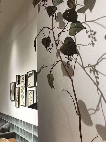 世界に一つしかないアート〜モリソン小林さんの個展へ〜 : 古く
