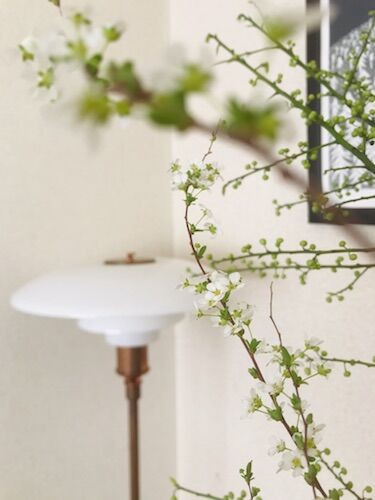 一足先にリビングで楽しむ春 お手入れも簡単 長く楽しめる枝ものを使った 花のある暮らし 古く小さく愛しいわが家 北欧家具とのくらし Powered By ライブドアブログ