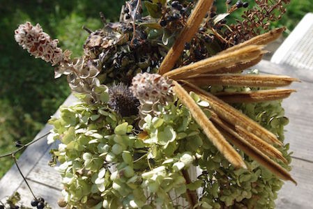 オブジェとして楽しむ ドライのユーカリ 古く小さく愛しいわが家 Powered By ライブドアブログ