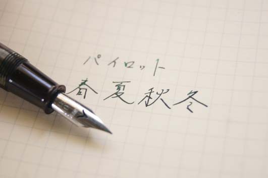 パイロット「白ペン グレーセルロイド」レビュー : テーゲー日記