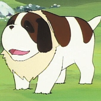 アニメ アルプスの少女ハイジ の思い出 オタのほそみち