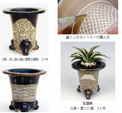 始めよう伝統園芸おもと』の本と四君子 : 万年青の豊明園のblog