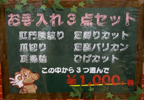 ポメラニアン シャンプーカット ゆめタウン別府店 白木 大分県別府市 ペットショップ ワンラブ ゆめタウン別府店のスタッフブログ