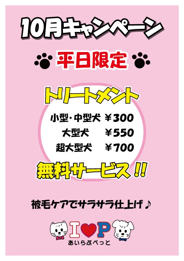 美容室あいらぶぺっとからキャンペーンのお知らせ 福岡県久留米市 ワンラブ ゆめタウン久留米店 ブログ