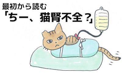 猫用　皮下点滴セット　皮下点滴セット　腎不全 猫の腎臓病。皮下輸液を自宅でできるようになりました｜モフマガ