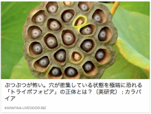 ぶつぶつ怖い トライボフォビアっていうんですね エニアグラム エリクソン催眠誘導講座 もしもしタッピング ワンネス ラボ