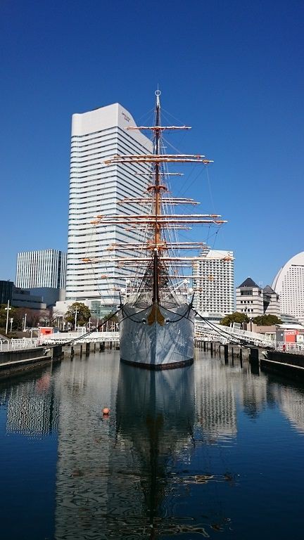 横浜出張の 縦画像 木漏れ日とそよ風