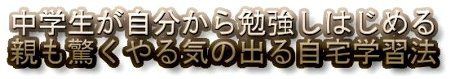 1ページを わずか5分 で暗記する勉強法とは 中学生がやる気を出す勉強方法 言ってもやらない中学生が勉強し始める 高校受験はまだ間に合う 志望高校合格法