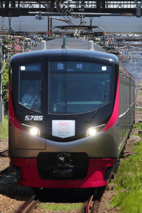 再入荷アイテム 電車 横幕フィルム コレクション - 京王線系