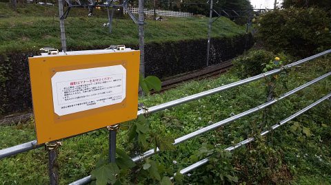 大桑 新高徳の掘割区間で撮影 支配人のたららんな日々