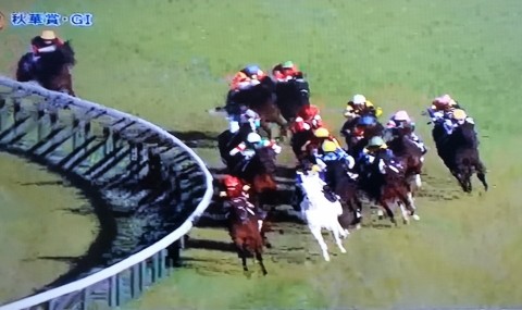 秋華賞のソダシは馬群に沈んで10着 支配人のたららんな日々
