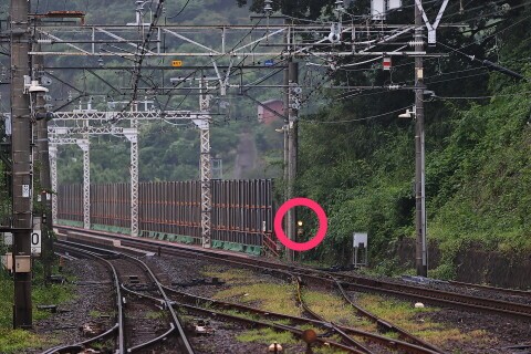 肝を冷やした 支配人のたららんな日々