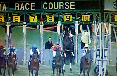 ゴールドシップ 2012年 有馬記念 現地 的中 単勝馬券