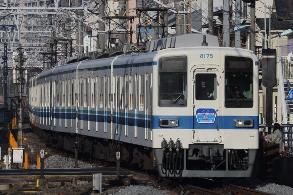 東武東上線 ありがとう8000系 8175＋8506編成 Final ツアー（1