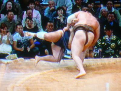 朝青龍、白鵬　切り抜き新聞 thumb_13.jpg