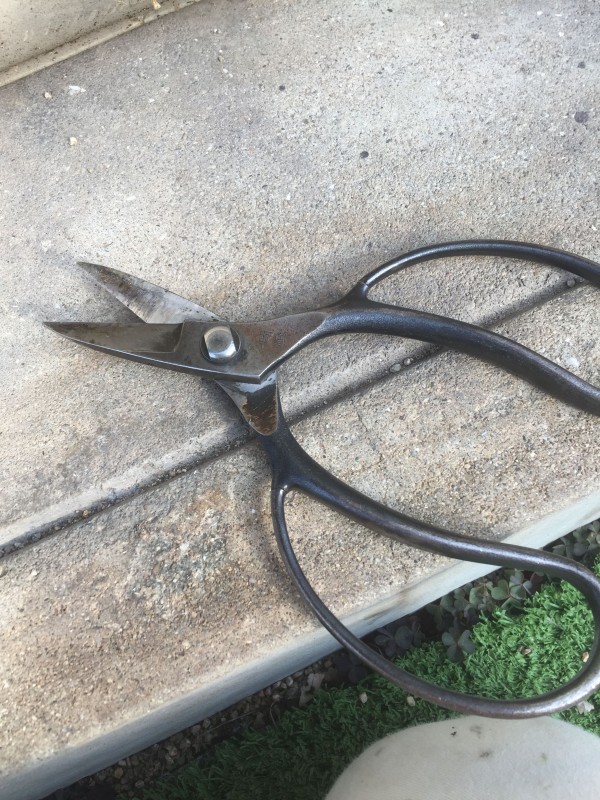 庭の剪定 おのえ椅子製作所 Onoechairのblog