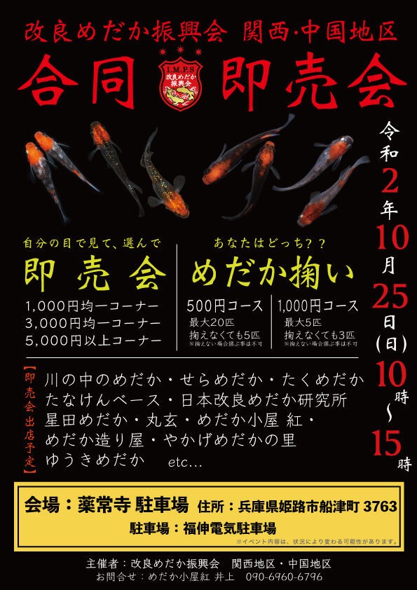 改良めだか振興会 関西 中国地区合同即売会 温泉めだかのブログ